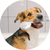 ペットの毛並みとニオイをやさしくケア